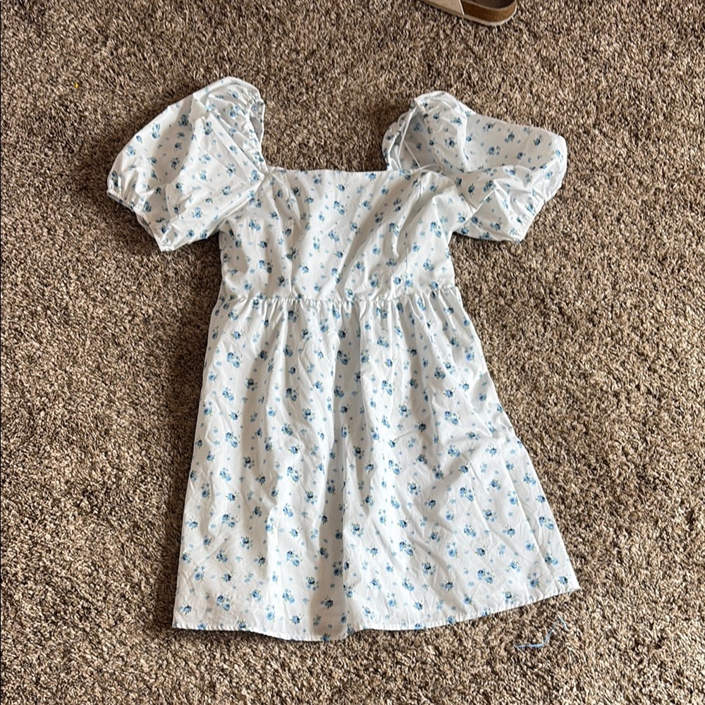 Floral Blue and White dress